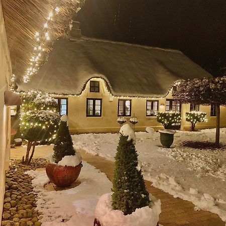 Apartamento Mindedalen - Idyl Taet Pa Alt Og Helt I Fred Billum Exterior foto