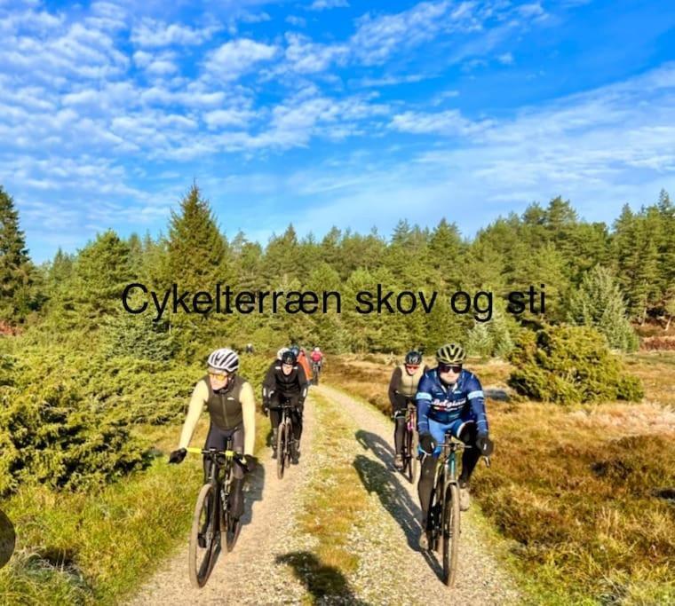 Apartamento Mindedalen - Idyl Taet Pa Alt Og Helt I Fred Billum Exterior foto