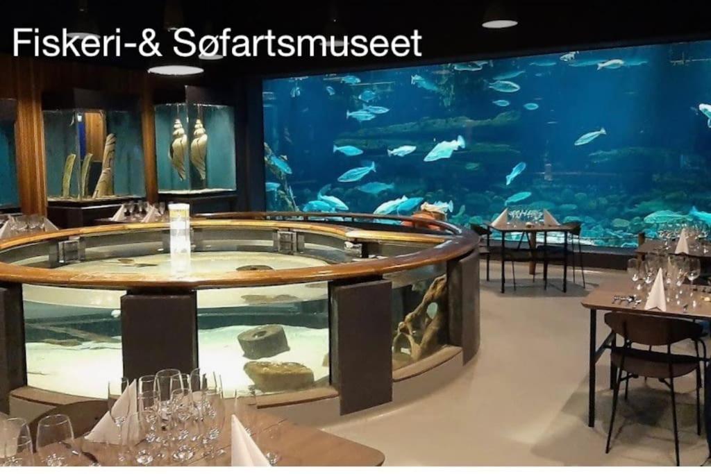Apartamento Mindedalen - Idyl Taet Pa Alt Og Helt I Fred Billum Exterior foto