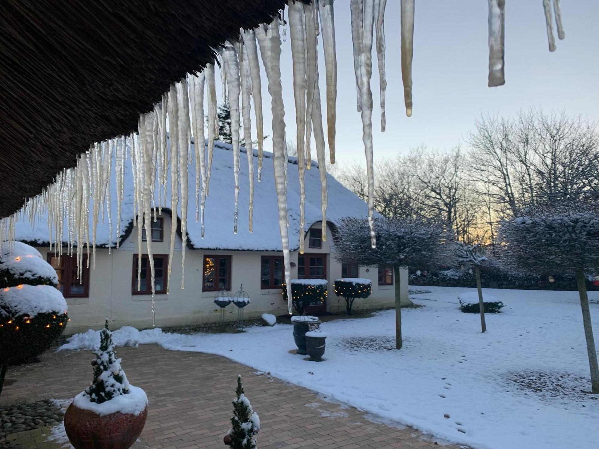 Apartamento Mindedalen - Idyl Taet Pa Alt Og Helt I Fred Billum Exterior foto