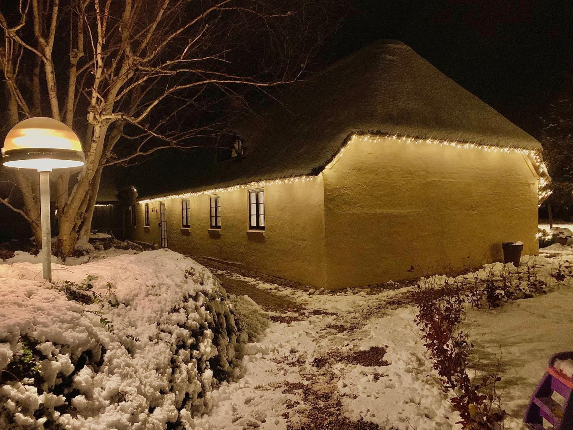 Apartamento Mindedalen - Idyl Taet Pa Alt Og Helt I Fred Billum Exterior foto