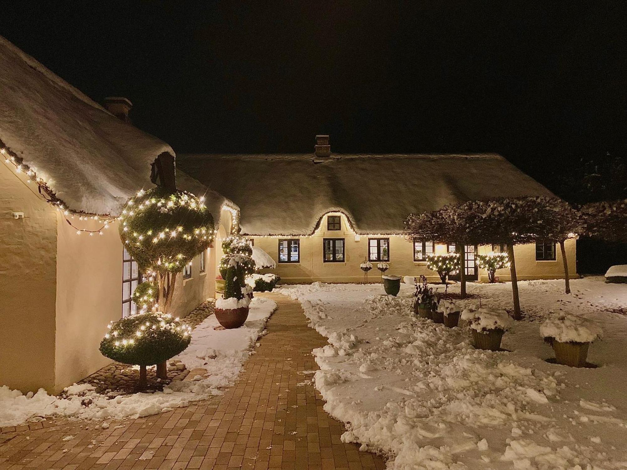 Apartamento Mindedalen - Idyl Taet Pa Alt Og Helt I Fred Billum Exterior foto